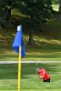 LAC Golf Open 2019  11th annual Wheaton Lyons Athletic Club (LAC) Golf Open Monday, August 12, 2019 held at the Franklin Country Club. - Photo by Keith Nordstrom : Wheaton, Lyons Athletic Club Golf Open